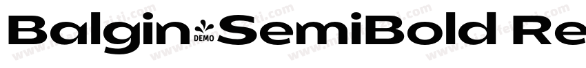 Balgin-SemiBold Regular字体转换